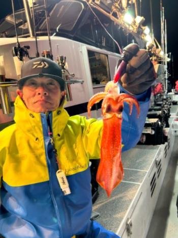 マイカ(ケンサキイカ)