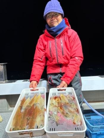 マイカ(ケンサキイカ)