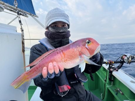 アマダイ(アカアマダイ)