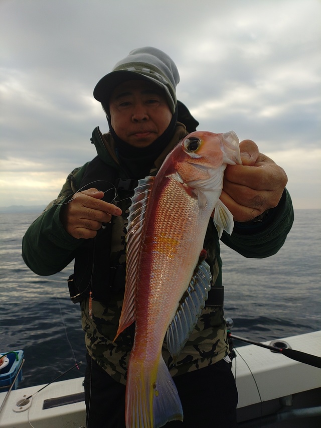 アマダイ(アカアマダイ)