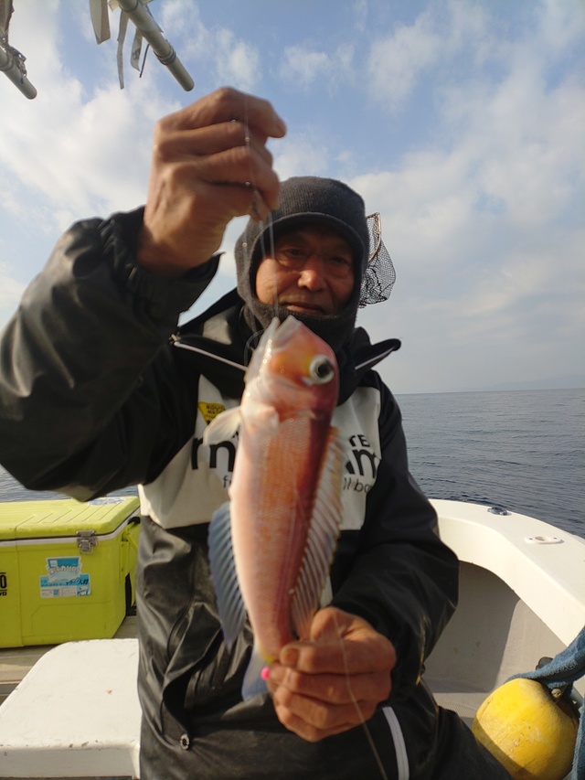 アマダイ(アカアマダイ)