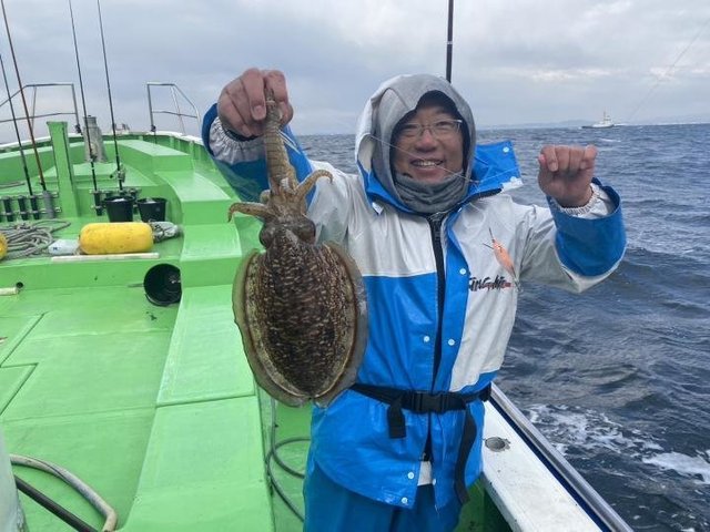 モンゴウ(カミナリイカ)