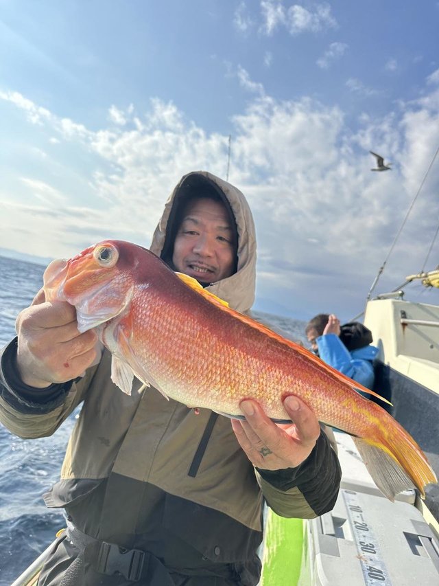 アマダイ(アカアマダイ)