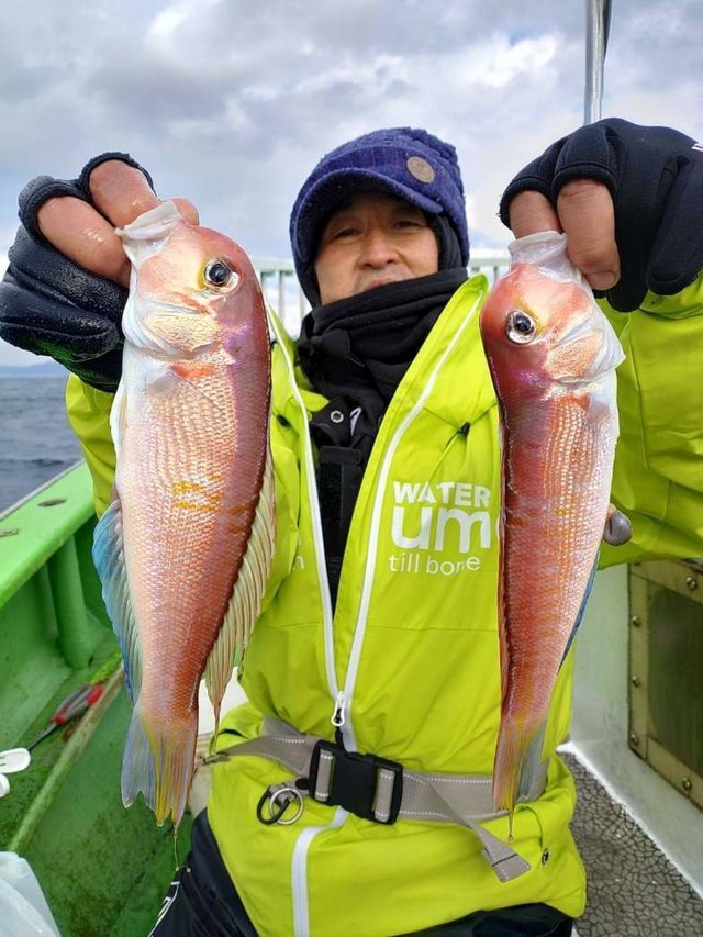 アマダイ(アカアマダイ)