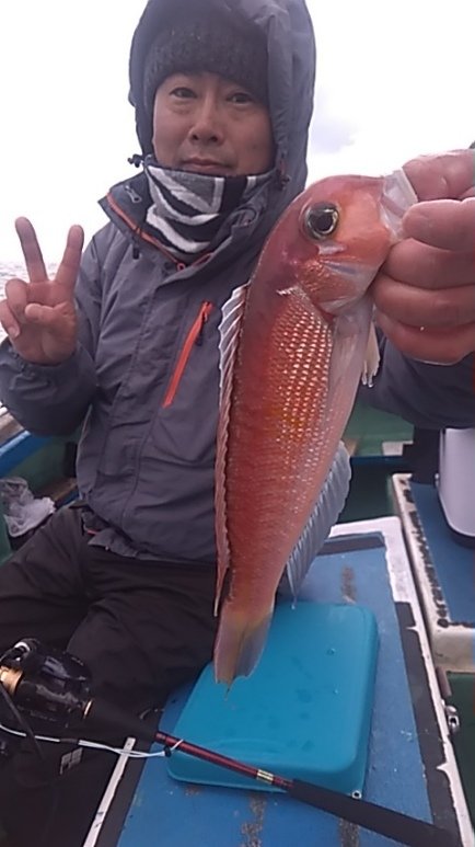 アマダイ(アカアマダイ)