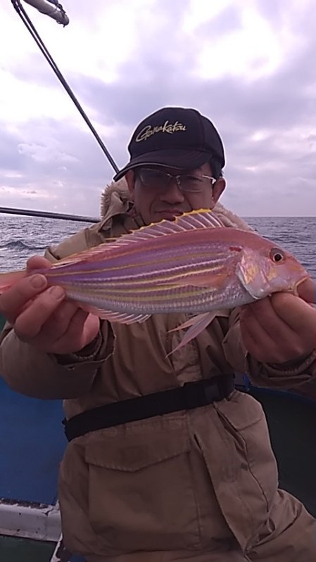 イトヨリ(イトヨリダイ)