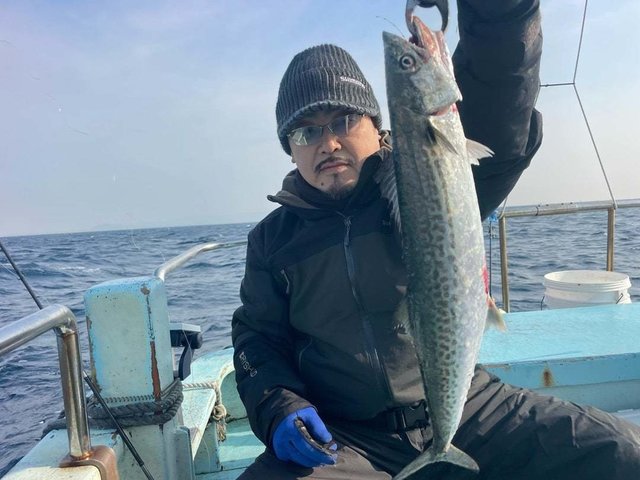 サゴシ(サワラ)