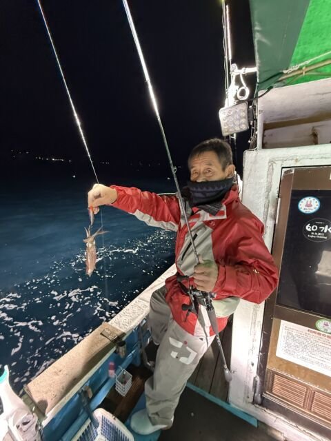 マイカ(ケンサキイカ)