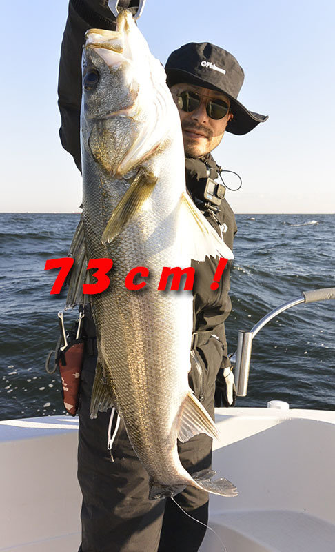 シーバス(スズキ)