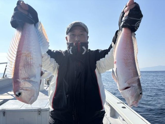 アマダイ(アカアマダイ)