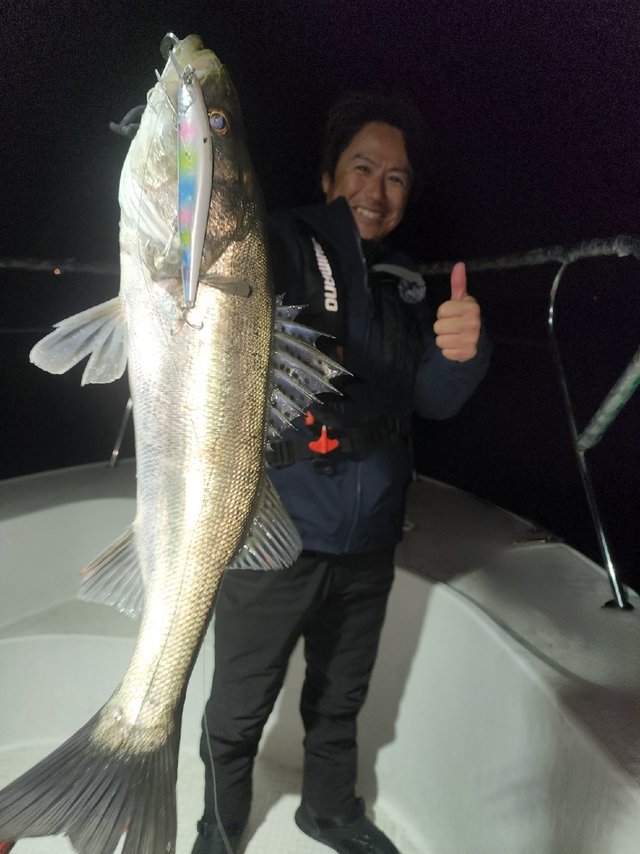 シーバス(スズキ)