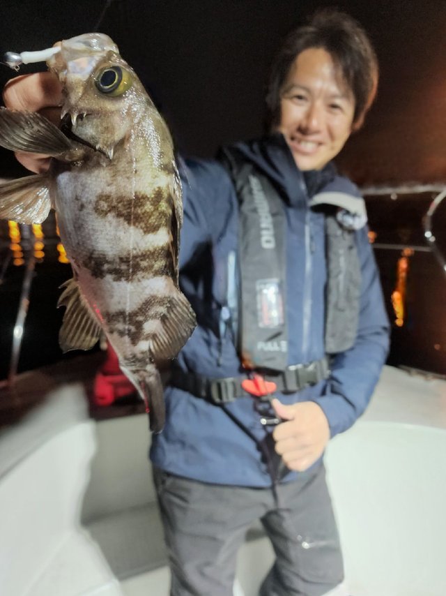 シーバス(スズキ)