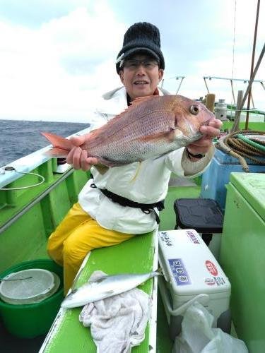 マダイ・イナダ(ブリ)