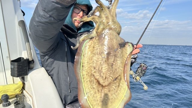 モンゴウイカ(カミナリイカ)