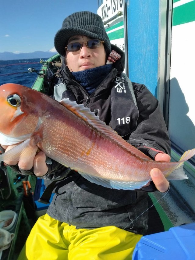 アマダイ(アカアマダイ)