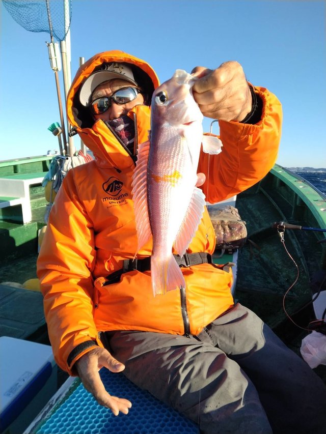 アマダイ(アカアマダイ)