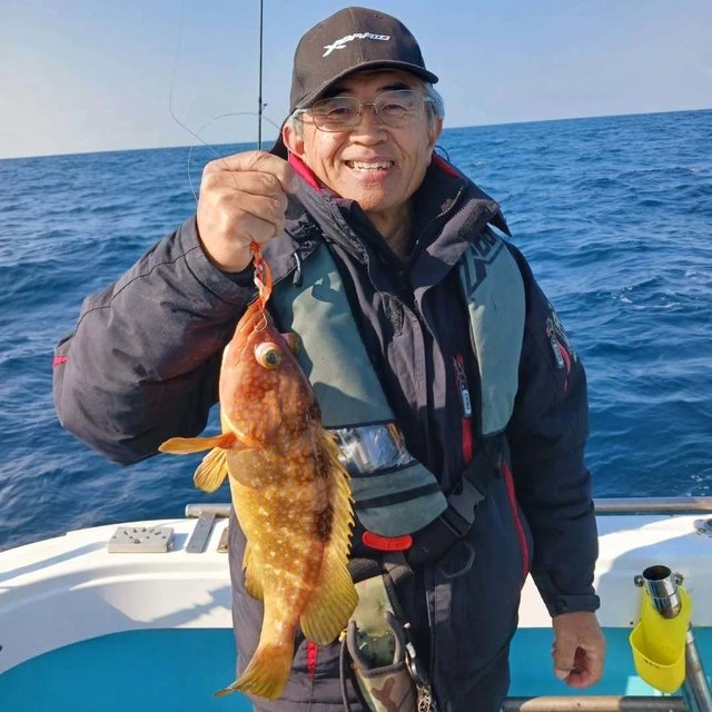 アコウ(キジハタ)