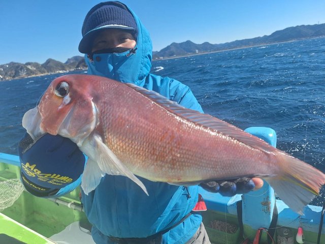 アマダイ(アカアマダイ)