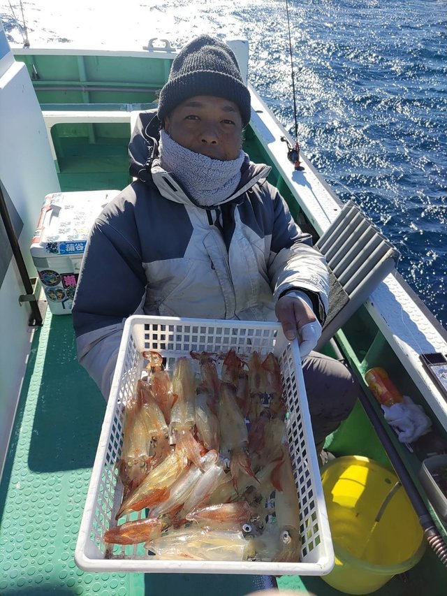 マルイカ(ケンサキイカ)