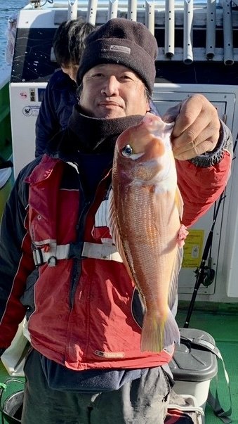 アマダイ(アカアマダイ)