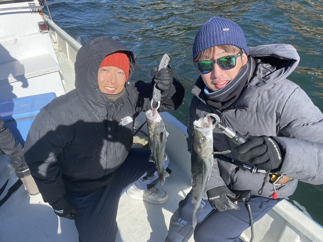 シーバス(スズキ)