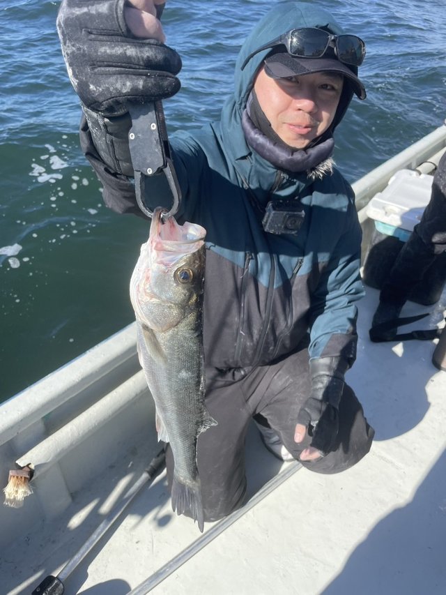 シーバス(スズキ)