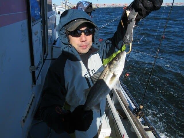 シーバス(スズキ)