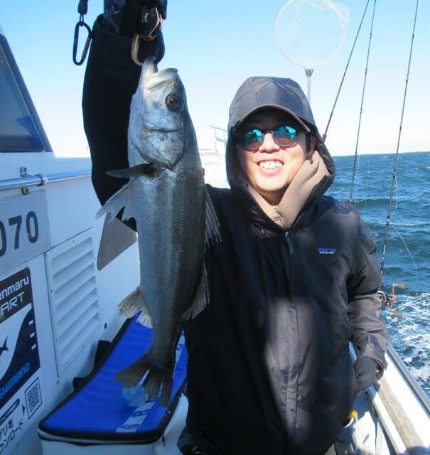 シーバス(スズキ)