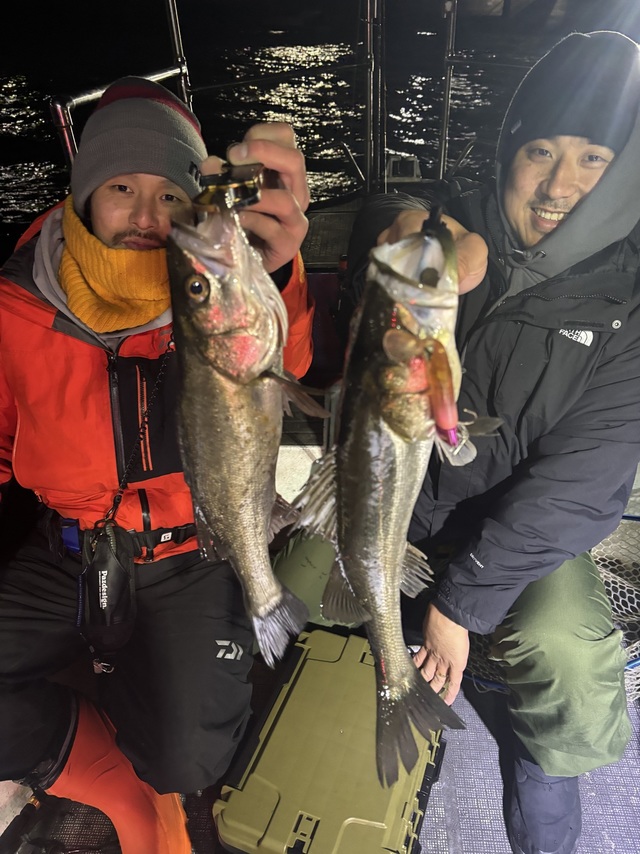 シーバス(スズキ)