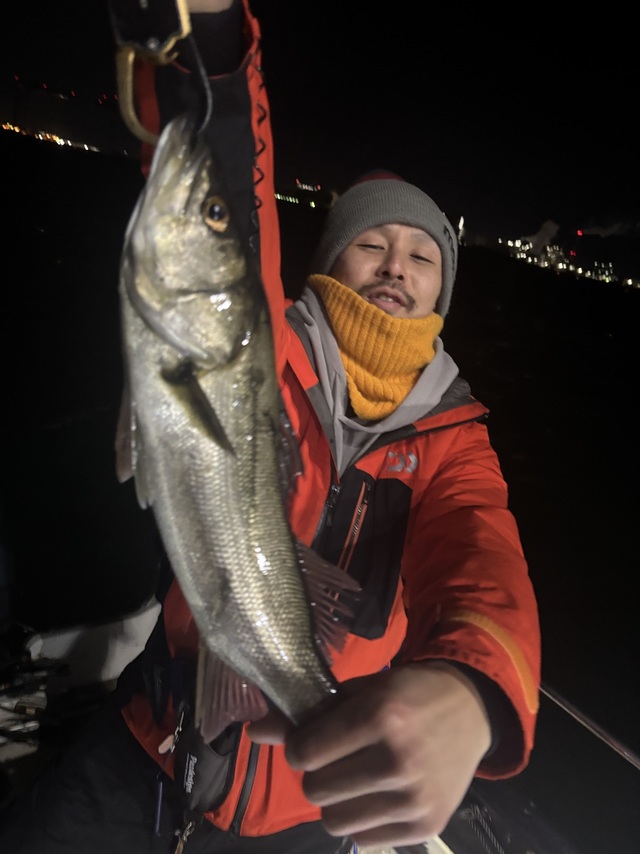 シーバス(スズキ)