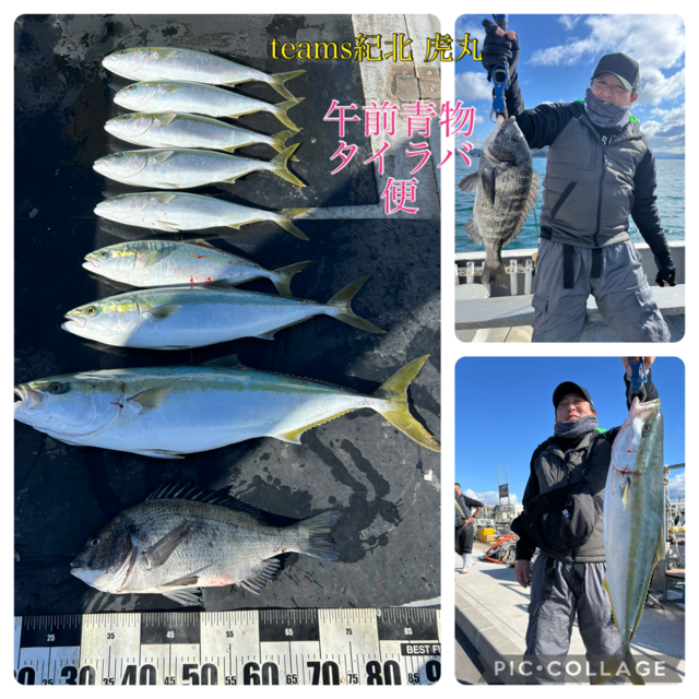 チヌ(クロダイ)・ブリ・ハマチ(ブリ)・メジロ(ブリ)