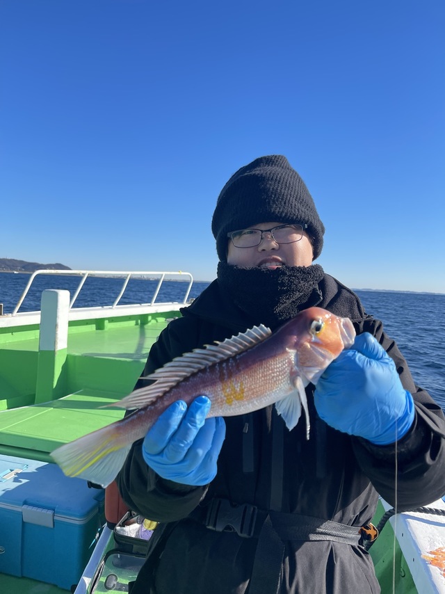 アマダイ(アカアマダイ)