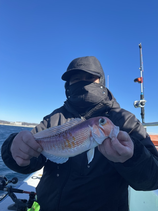 アマダイ(アカアマダイ)