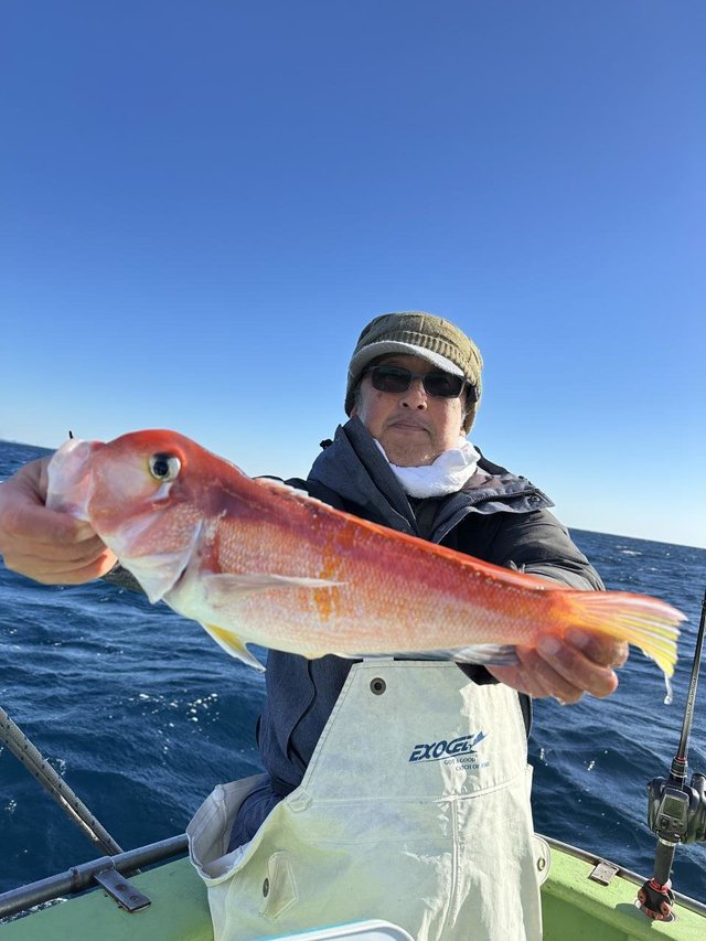 アマダイ(アカアマダイ)