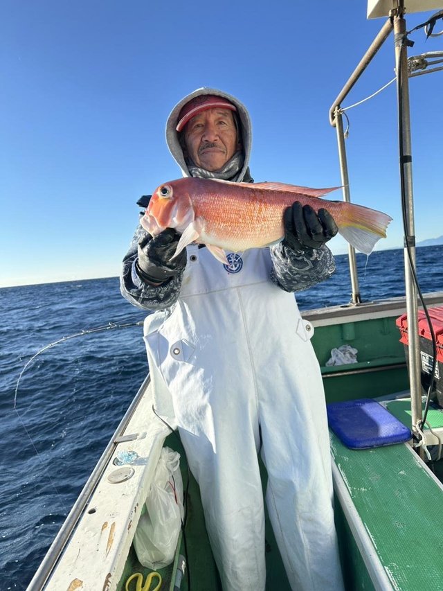 アマダイ(アカアマダイ)