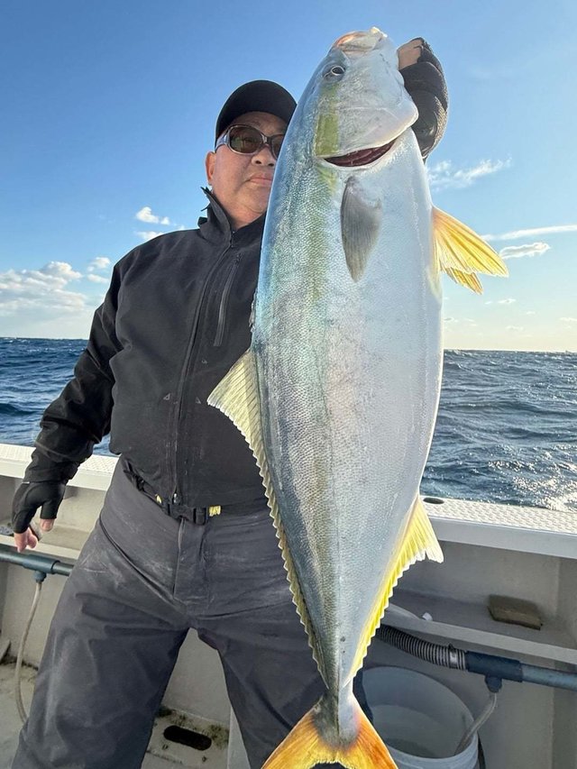 サンパク(ブリ)