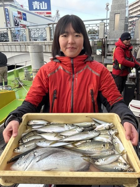 クロダイ・アジ(マアジ)