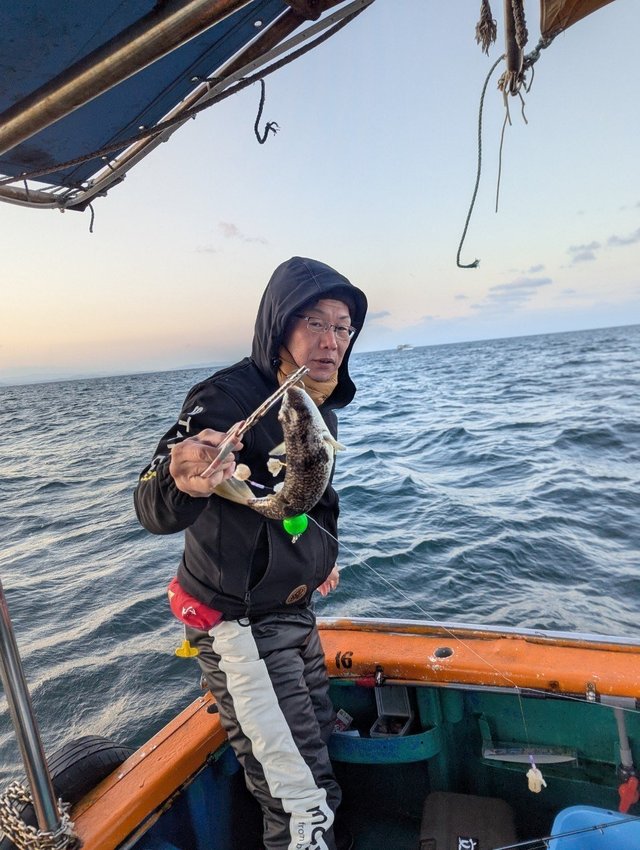 フグ(ショウサイフグ)