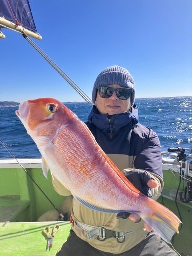 アマダイ(アカアマダイ)