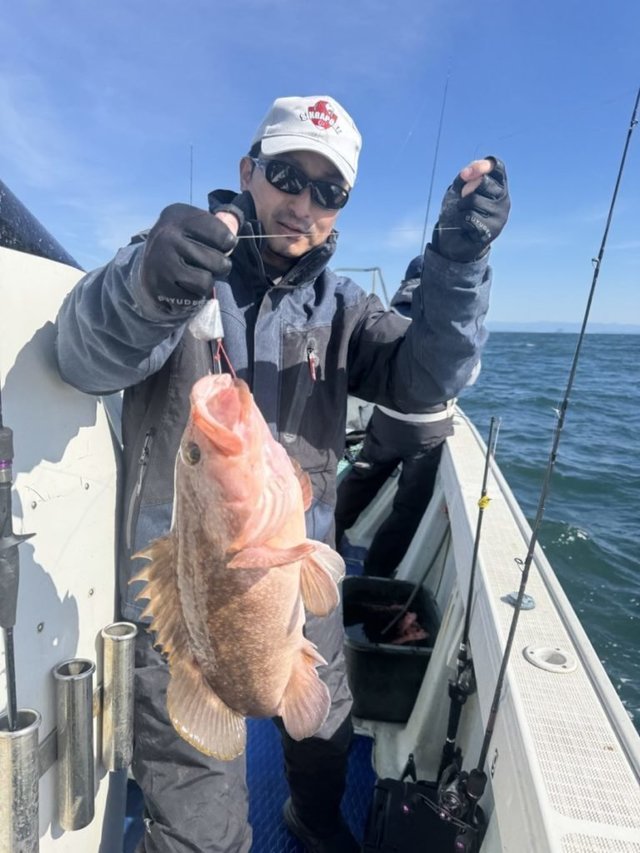 アコウ(キジハタ)