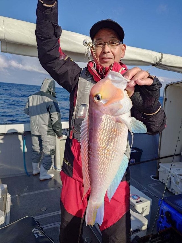 アマダイ(アカアマダイ)