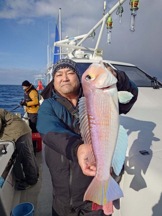 アマダイ(アカアマダイ)