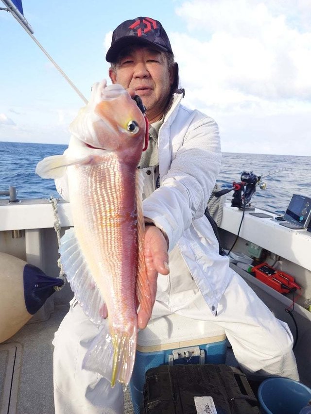 アマダイ(アカアマダイ)