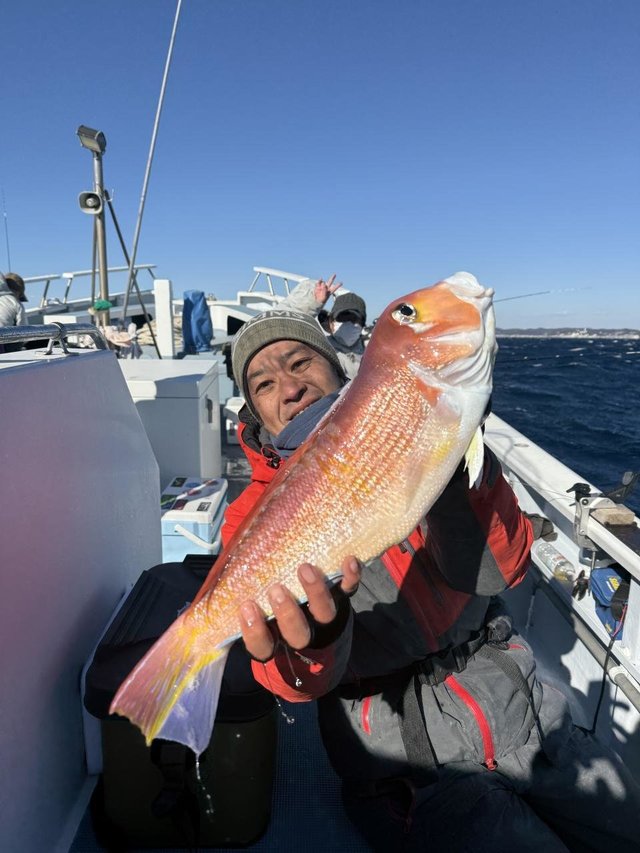 アマダイ(アカアマダイ)