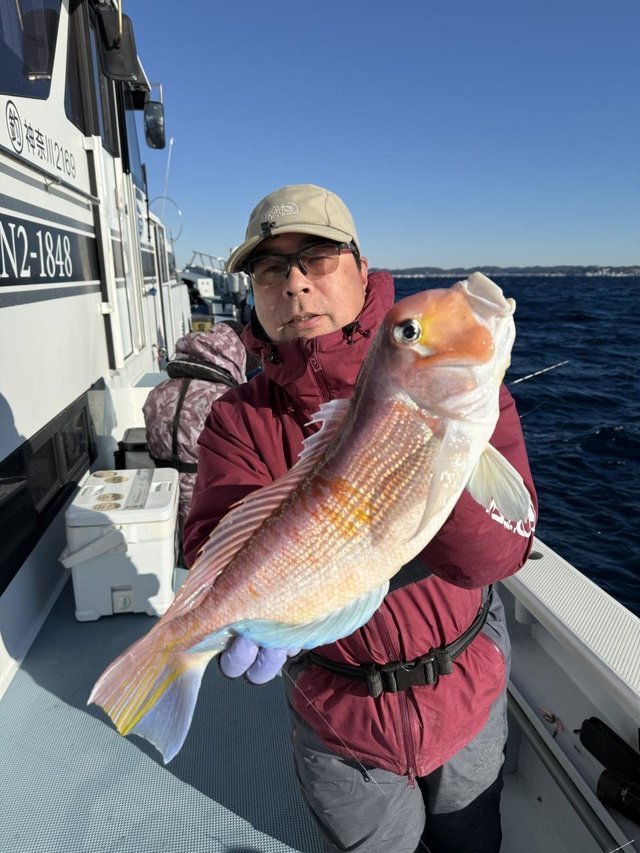 アマダイ(アカアマダイ)