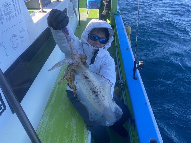 アオリ(アオリイカ)