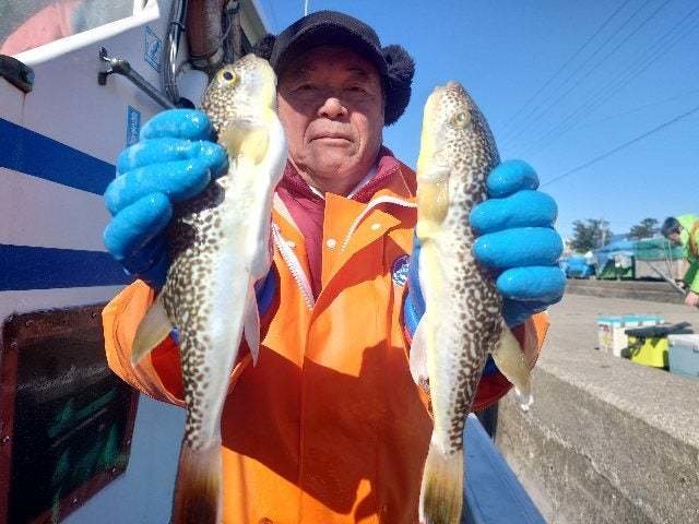 ショウサイフグ