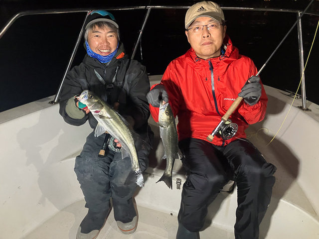 シーバス(スズキ)