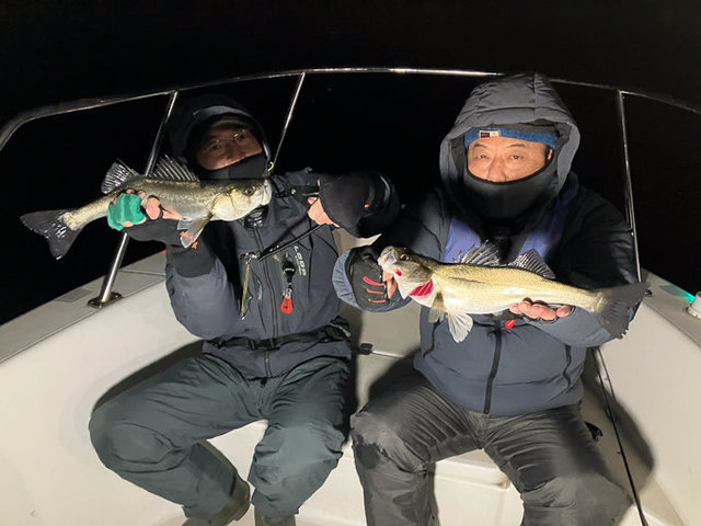 シーバス(スズキ)