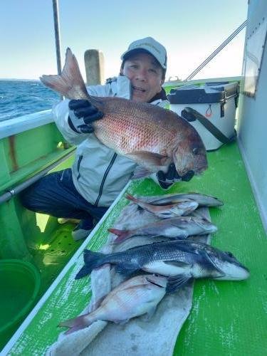 マダイ・クロダイ